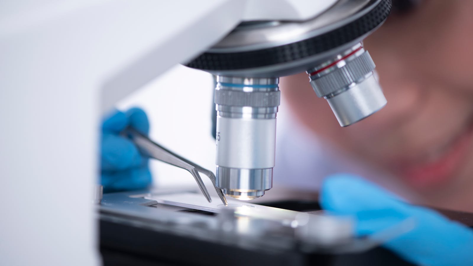 Unrecognisable scientist working with tweezers and a microscope in a laboratory