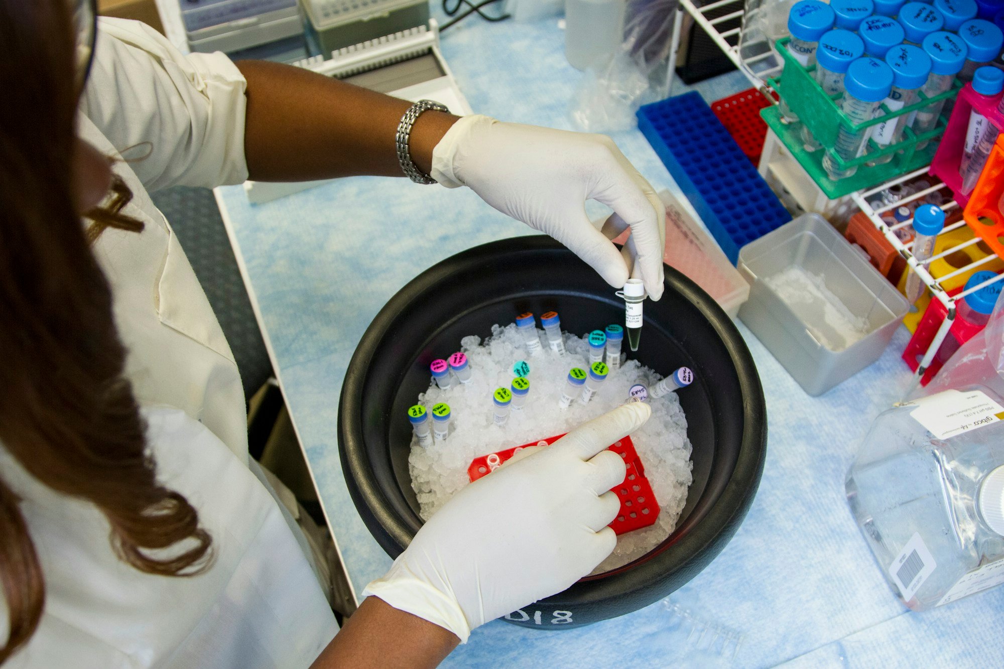 Laboratory researcher preparing genetic testing samples in a clinical research lab