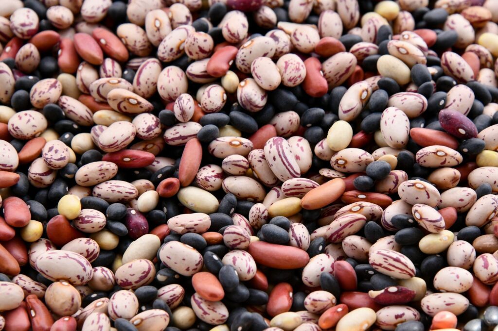 Assorted beans in different colours arranged in sections