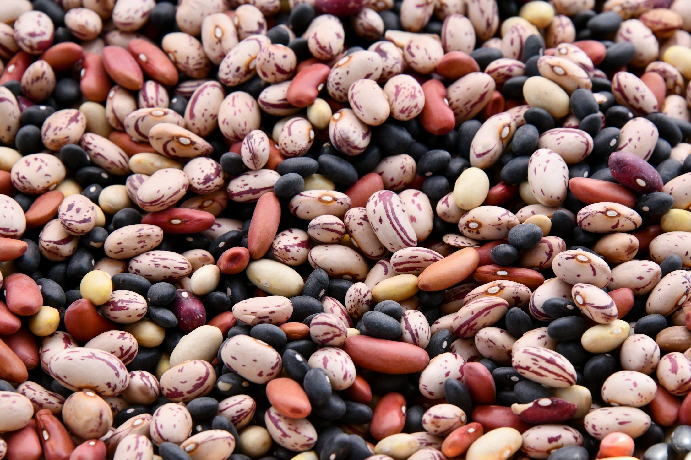 Assorted beans in different colours arranged in sections