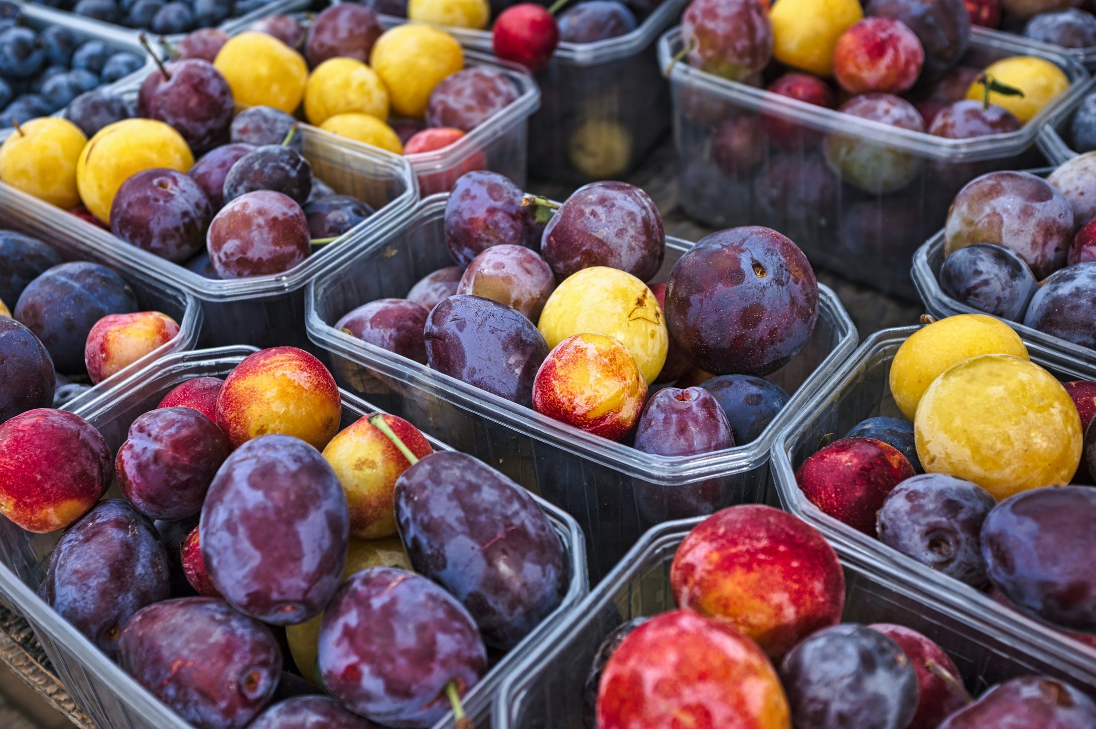Plums and blueberries in clear containers at a market