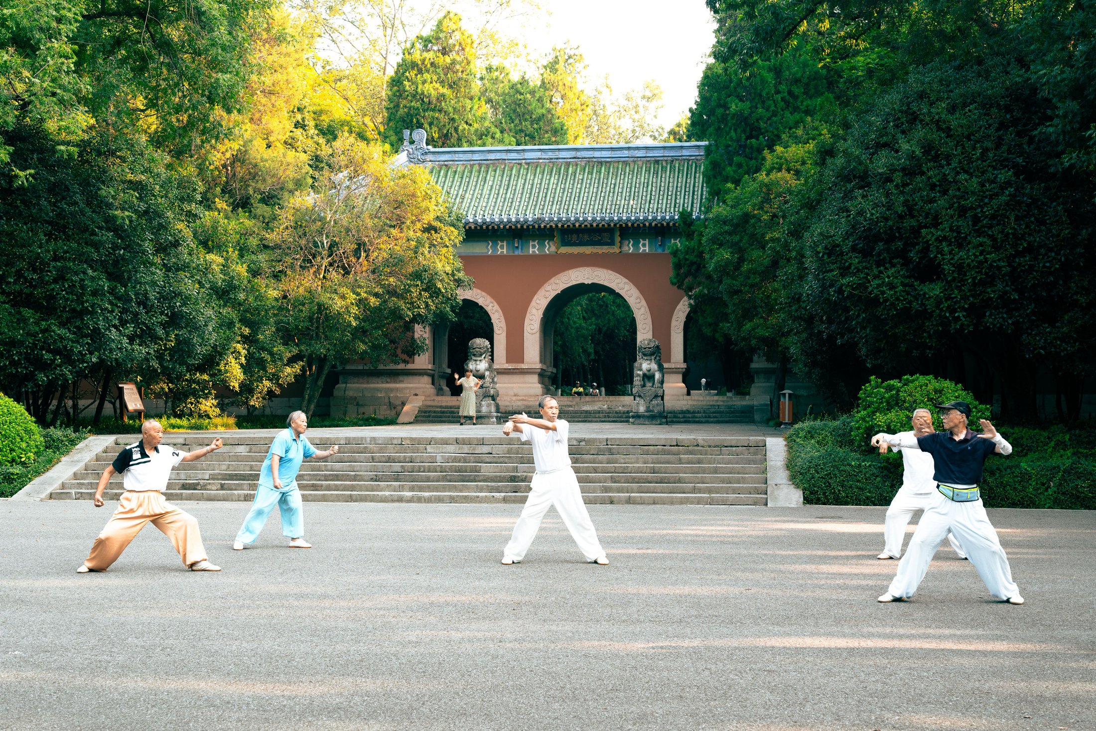 Older adults practising tai chi outdoors in a group