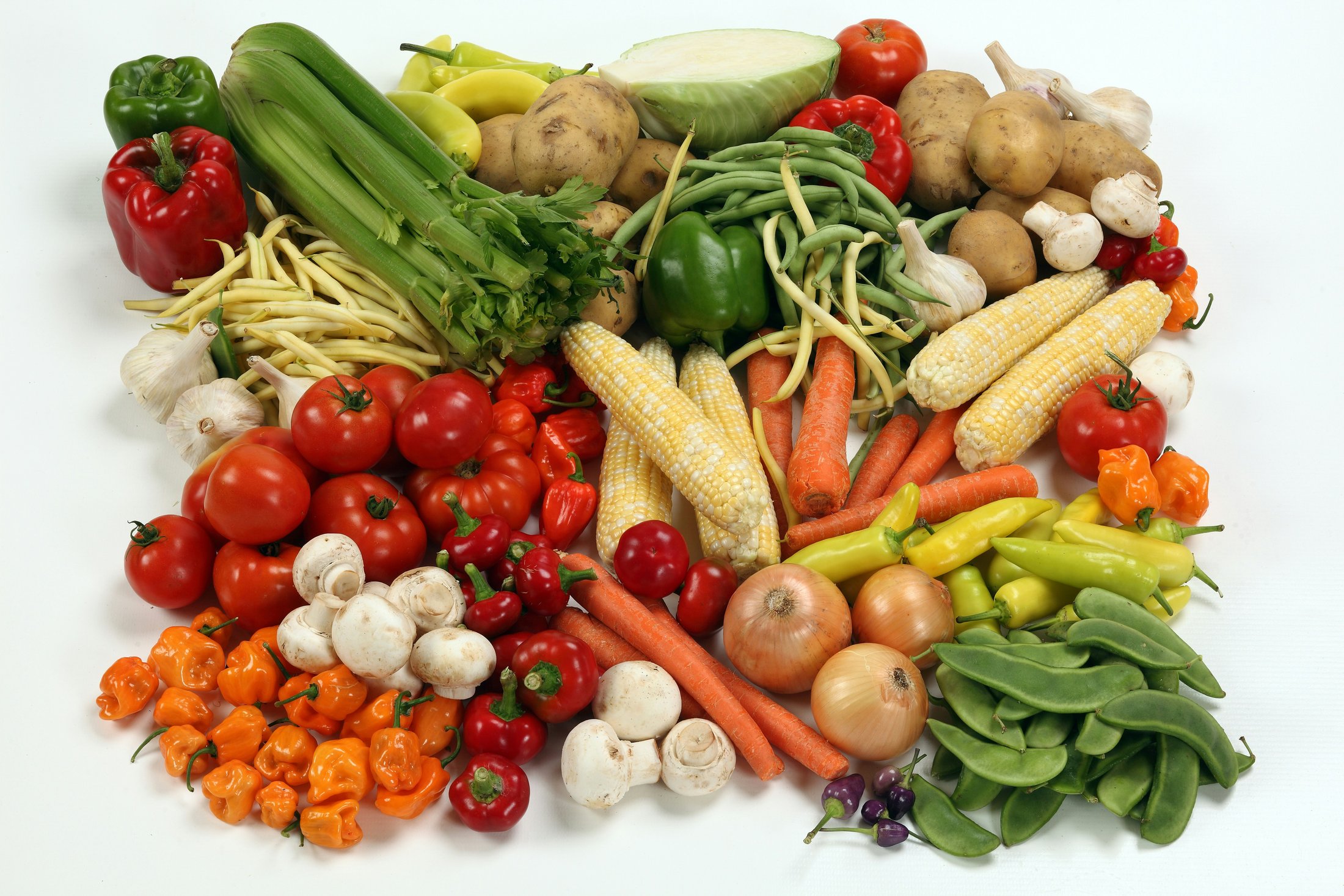 Assorted vegetables arranged on a white surface