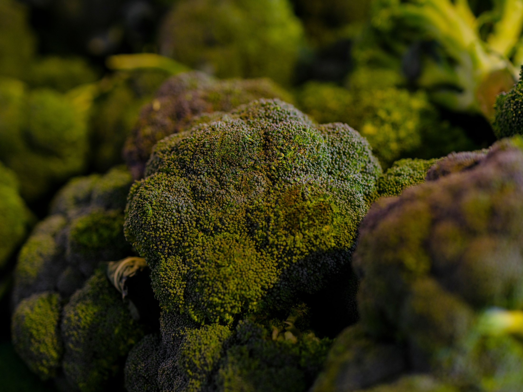 Fresh broccoli on a market stall