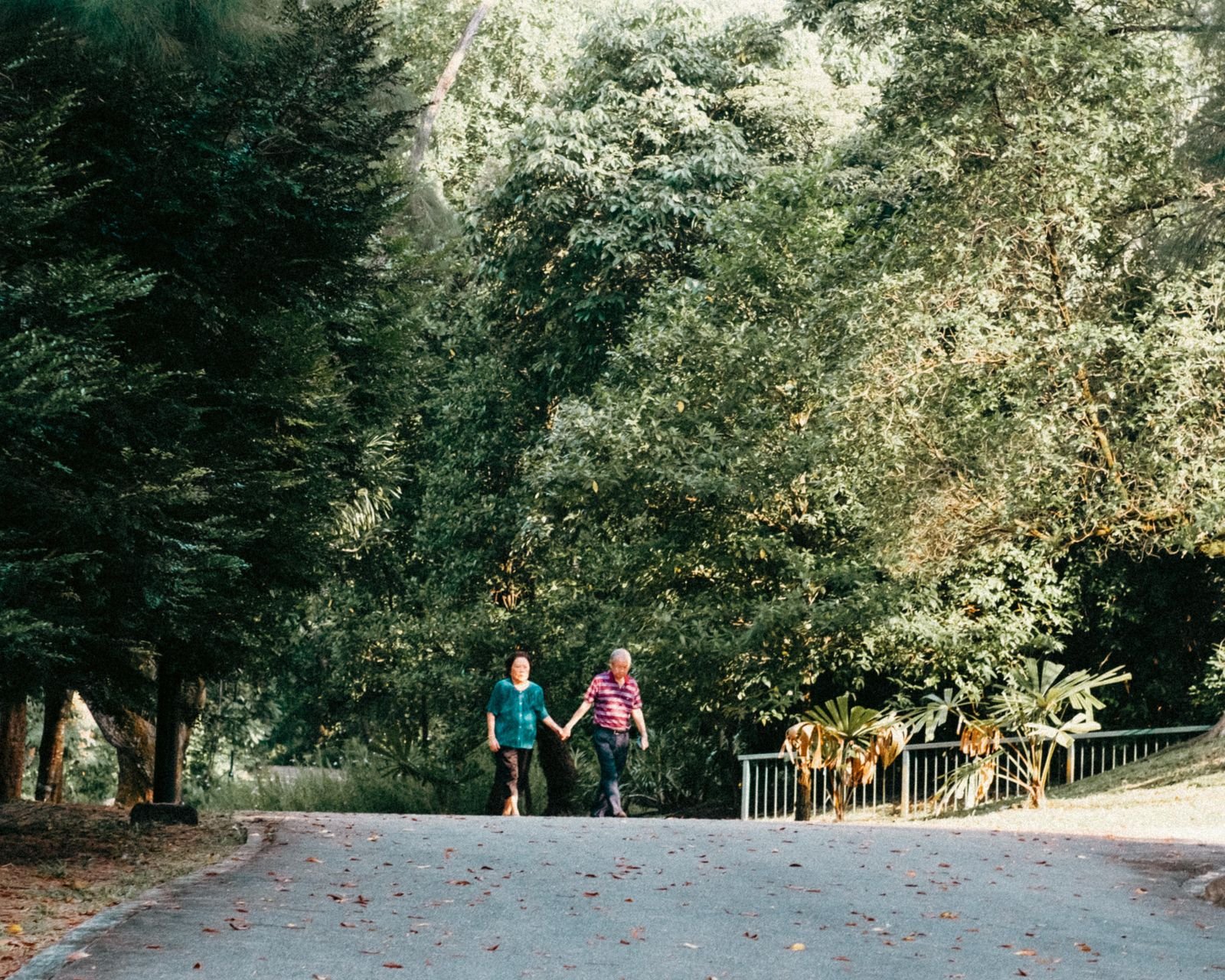 Senior couple walking together on a green park path