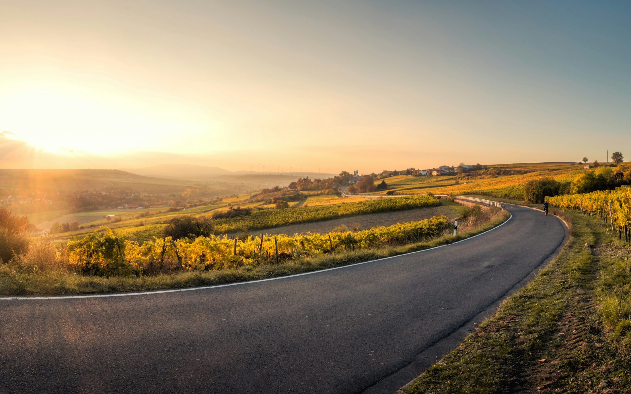A winding road at sunrise through fields, used to illustrate morning fasted training.