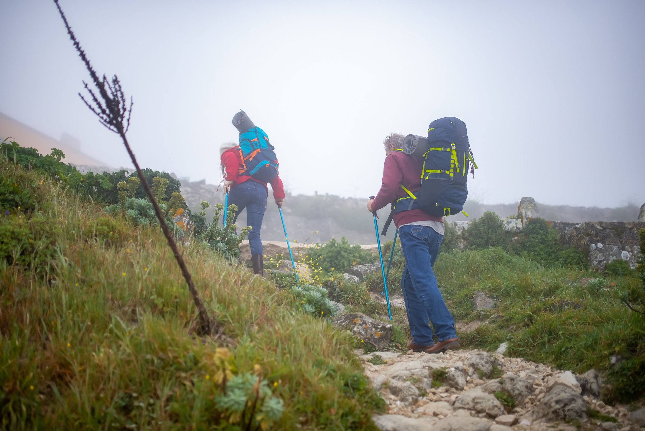 Older couple hiking with walking poles on a misty trail