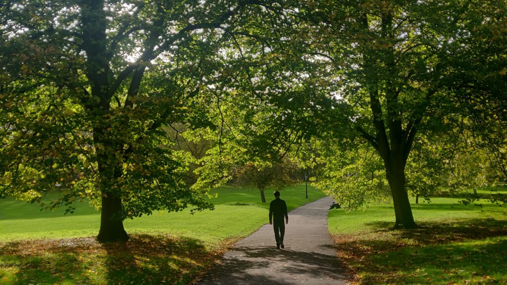 Person walking along a path between grass and trees